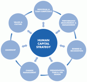 Human capital management